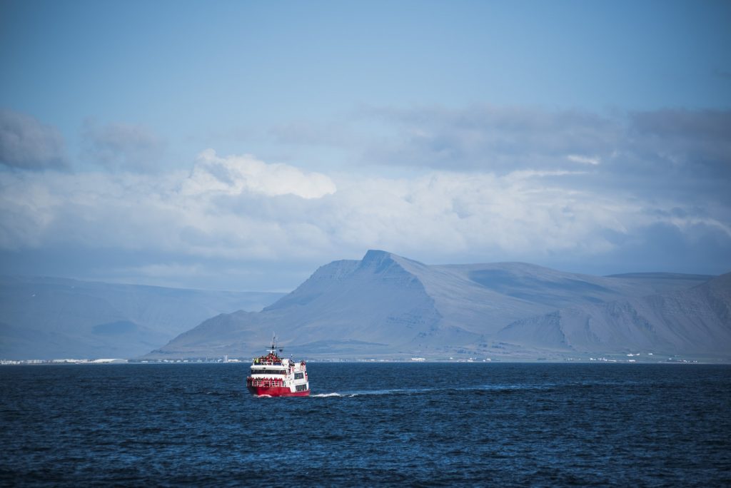 Walvis boot Reykjavik